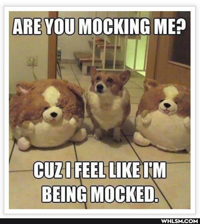 ARE YOU MOCKING ME?
GUZTFEEL LIKE BEING MOCKED: