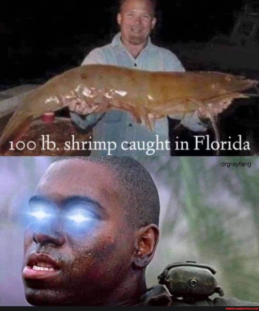 100 shrimp caught in Florida