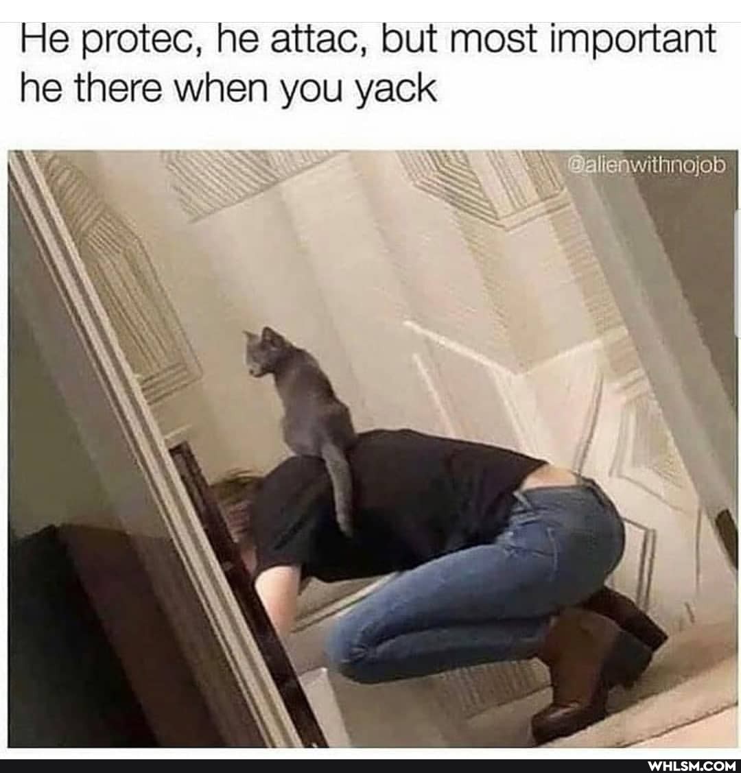 He protec, he attac, but most important he there when you yack