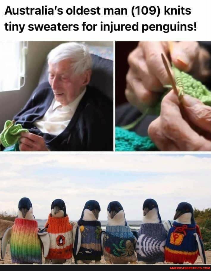 Australia's oldest man (109) knits tiny sweaters for injured penguins!