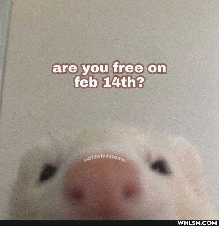 are you free on feb 24th?