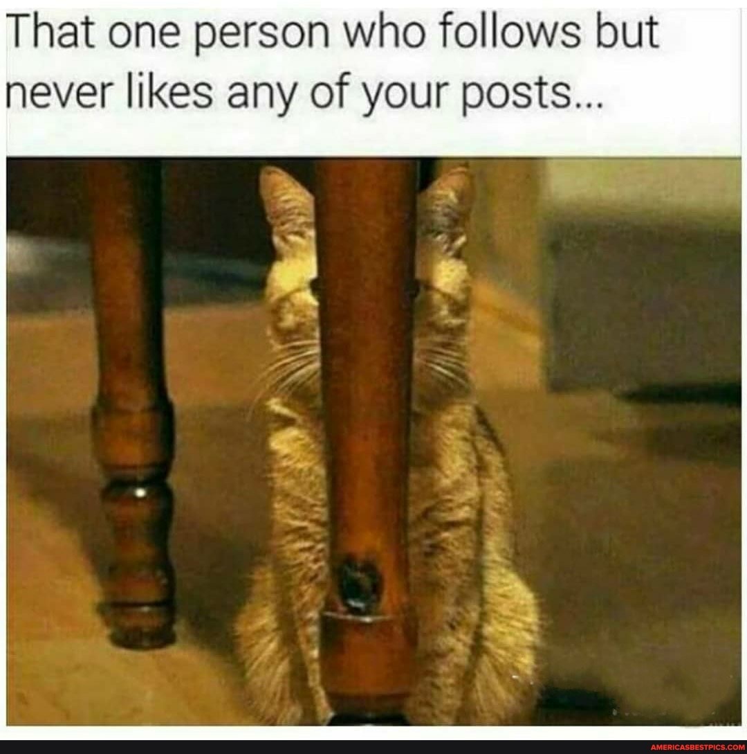 That one person who follows but never likes any of your posts...