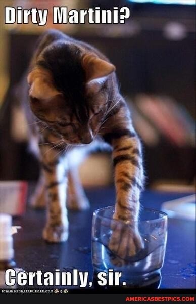 Dirty Martini?
Certainly, sit.