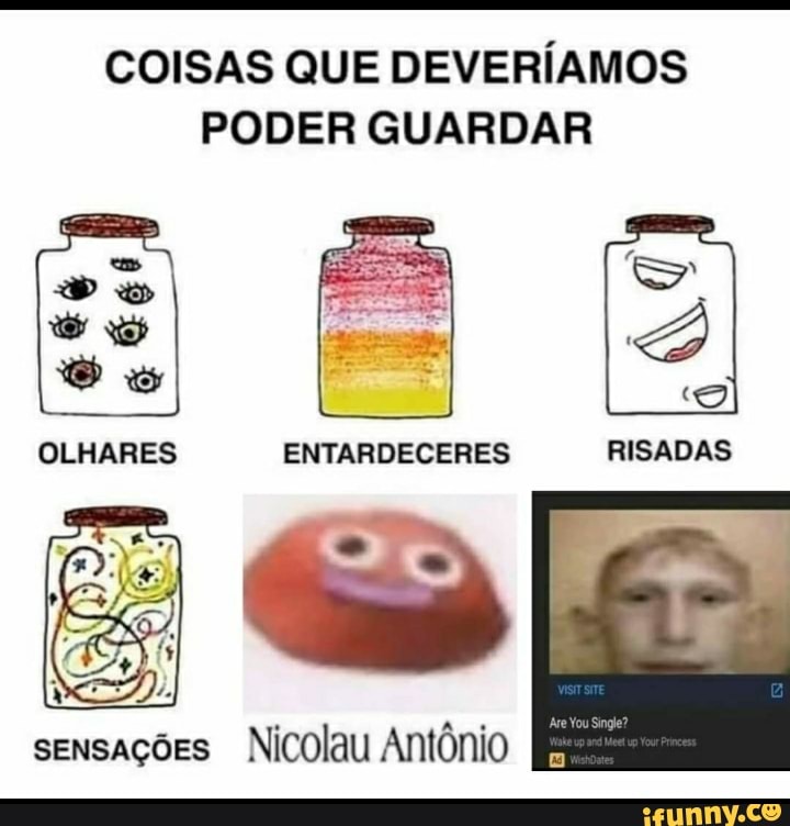 COISAS QUE DEVERÍAMOS
PODER GUARDAR OLHARES ENTARDECERES RISADAS
sensações Nicolau Antônio