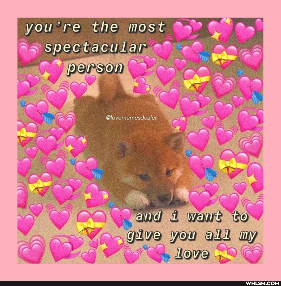 the most
yer're
spectacular
Glovememesdealer
AS mine
all my