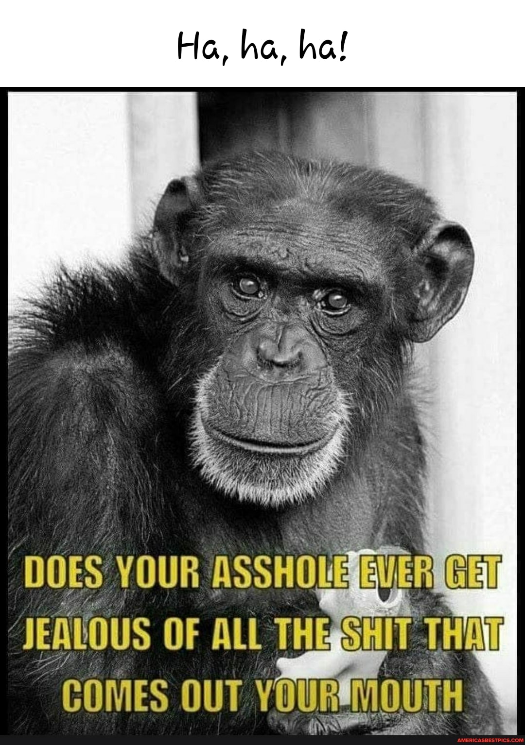 Ha, ha, ha!
DOES YOUR ASSHOLEETE iS JEALOUS OF ALL THESSHIT THAY