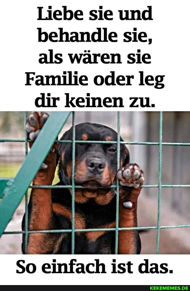 Liebe sie und behandle sie, als wären sie
Familie oder leg dir keinen zu.
So einfach ist das.