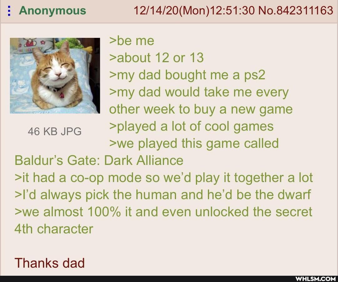 Anonymous No.842311163
>be me
>about 12 or 13
>my dad bought me a
>my dad would take me every other week to buy a new game
46 KB JPG >played a lot of cool games
>we played this game called
Baldur's Gate: Dark Alliance
>it had a co-op mode so we'd play it together a lot
>I'd always pick the human and he'd be the dwarf
>we almost 100% it and even unlocked the secret character
Thanks dad