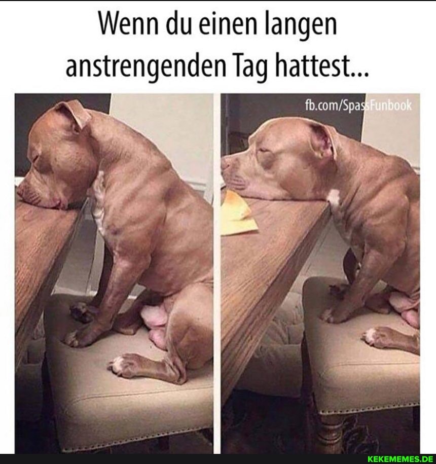 Wenn du einen langen anstrengenden Tag hattest...