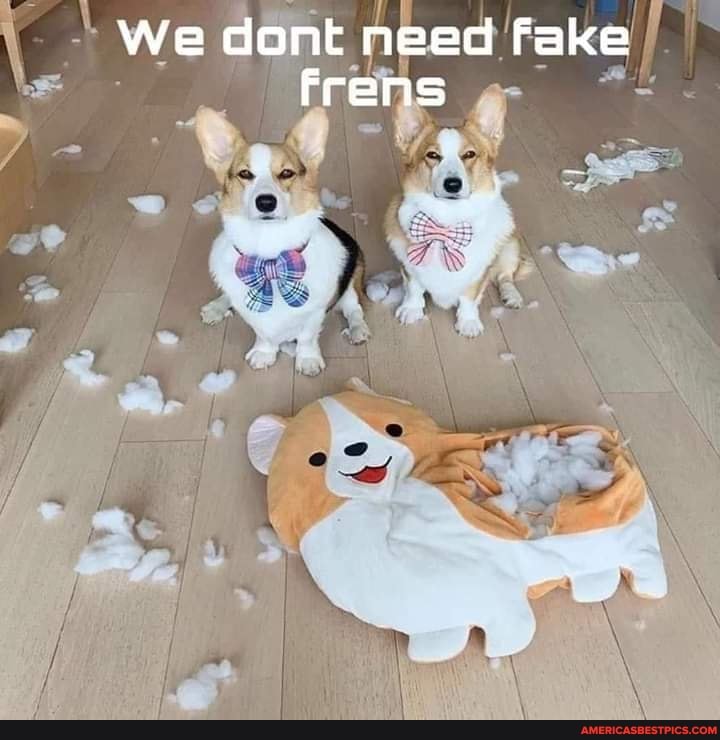 We dont need Fake frens