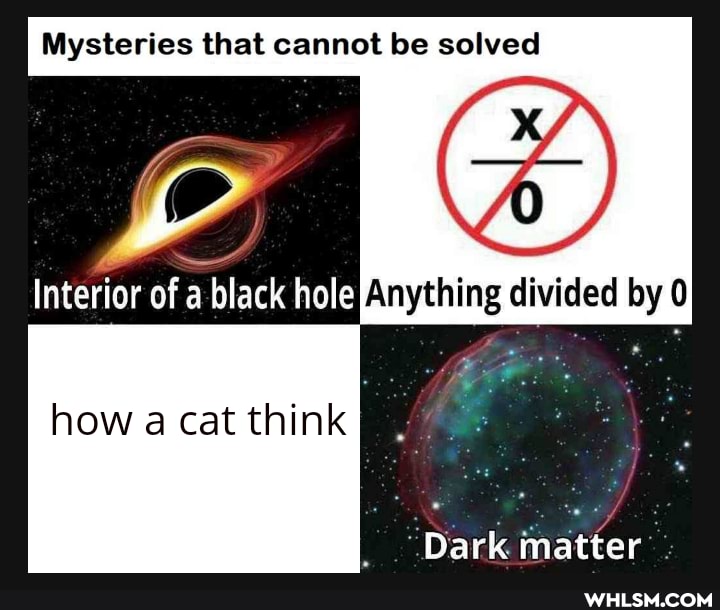 Mysteries that cannot be solved
Interior of a black hole Anything divided by 0
how a cat think
Dark matter