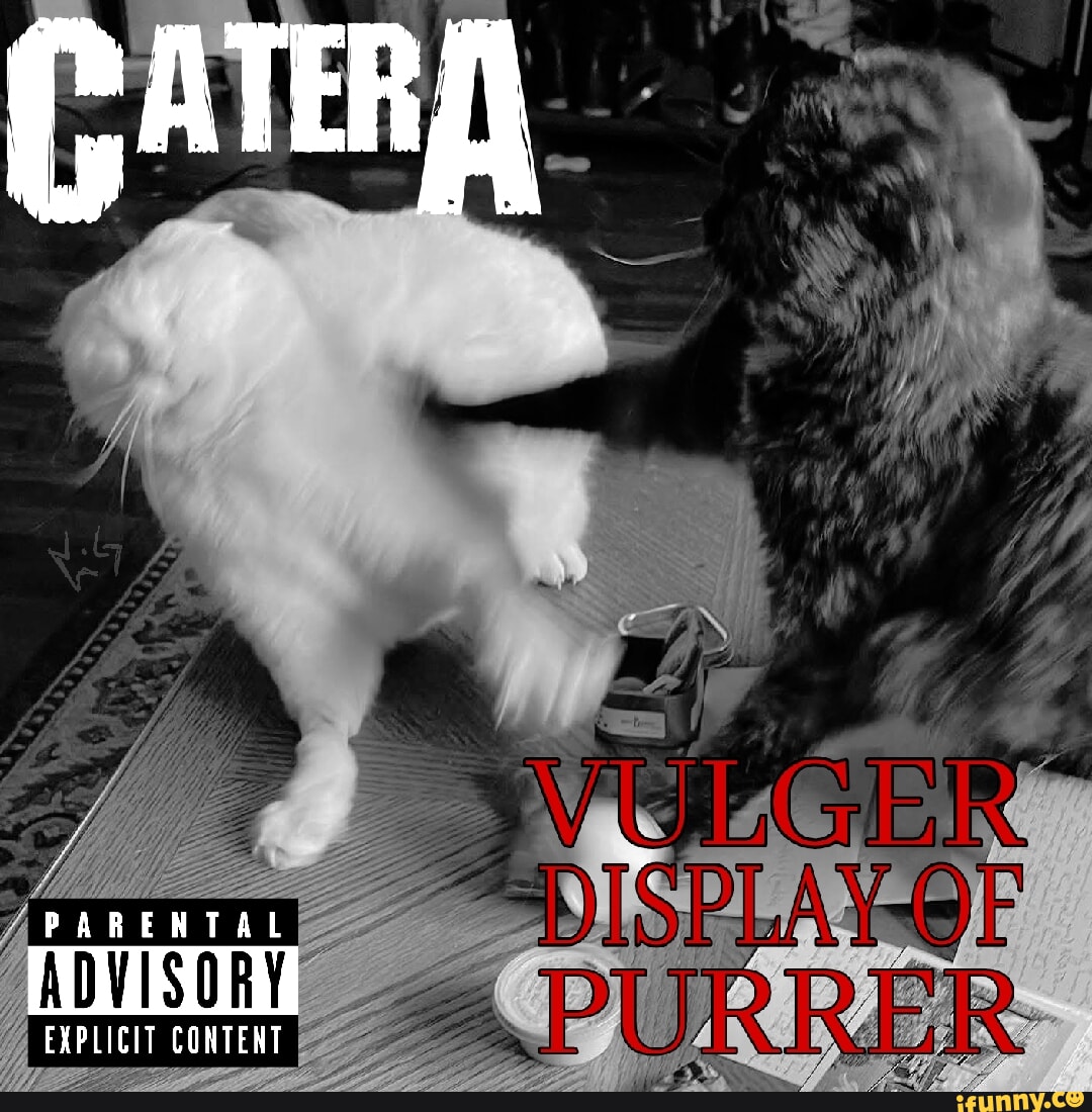 Pantera memes. Best Collection of funny Pantera pictures on iFunny