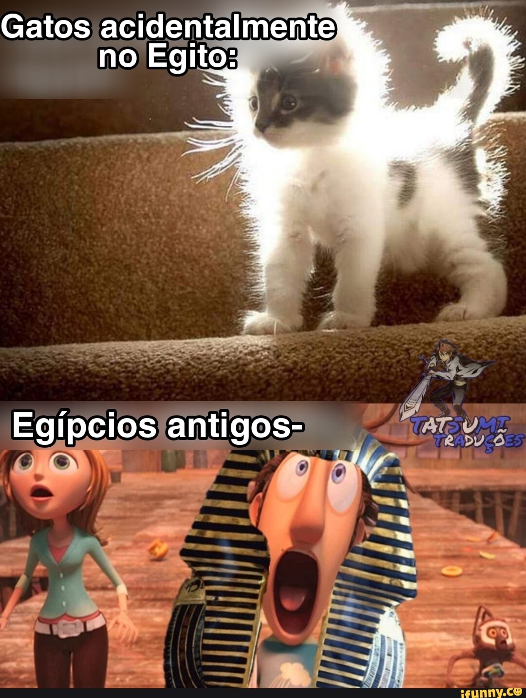Gatos acidentalmente no Egito:
Egípcios antigos-