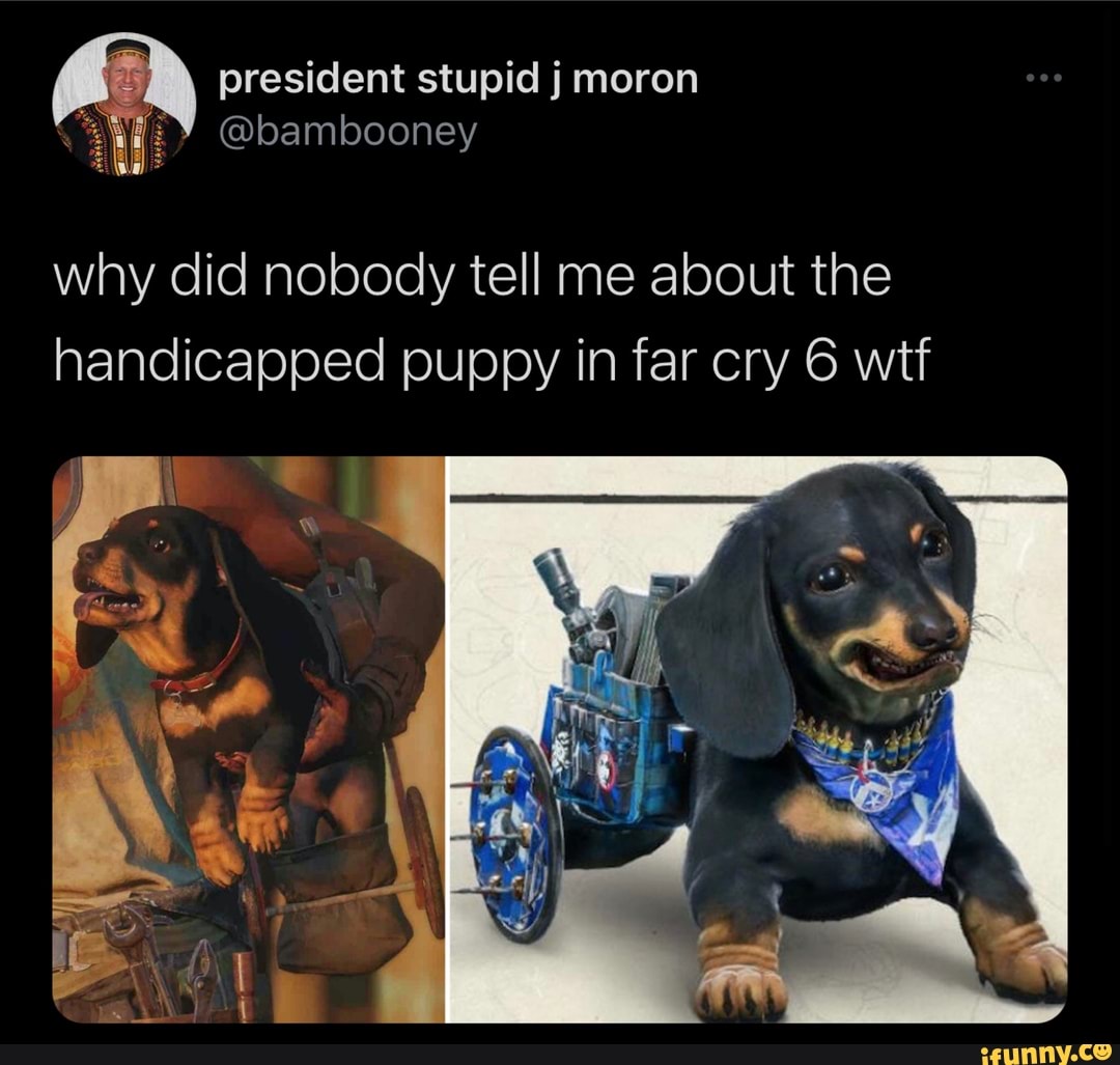 why did nobody tell me about the handicapped puppy in far cry 6 wtf