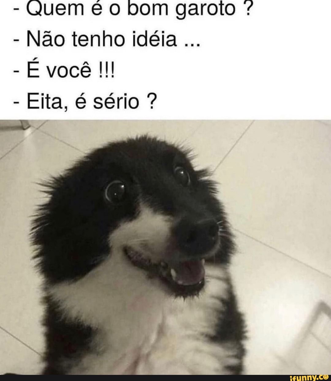 - Quem o bom garoto
- Não tenho idéia
- É você
- Eita, é sério ?