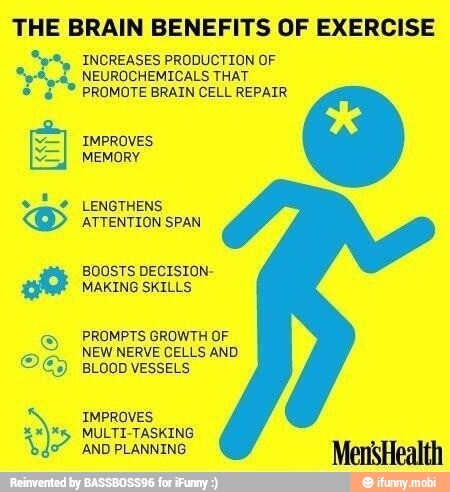 THE BRAIN BENEFITS OF EXERCISE INCREASES PRODUCTION OF NEUROCHEMICALS ...