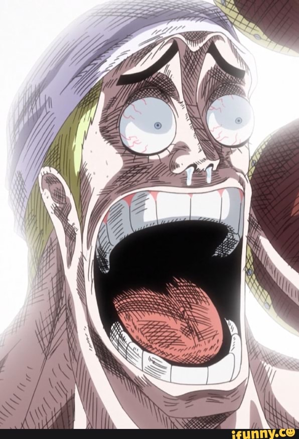 one, piece, reaction, reactionimage, funny, onepiece