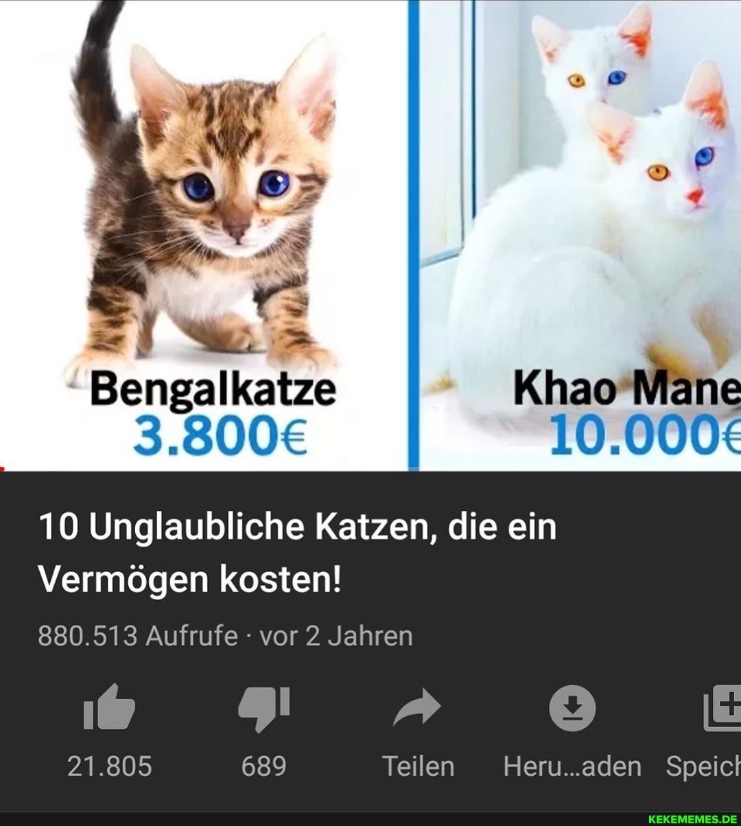 Bengalkatze Khao Mane
10 Unglaubliche Katzen, die ein
Vermögen kosten!
880.513 Aufrufe vor 2 Jahren
ad
21.805 689 Teilen Heru..aden Speic
