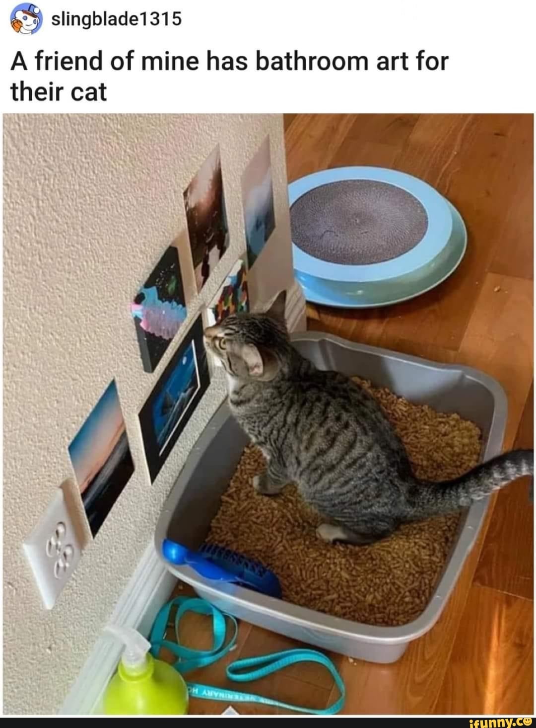 A friend of mine has bathroom art for their cat
