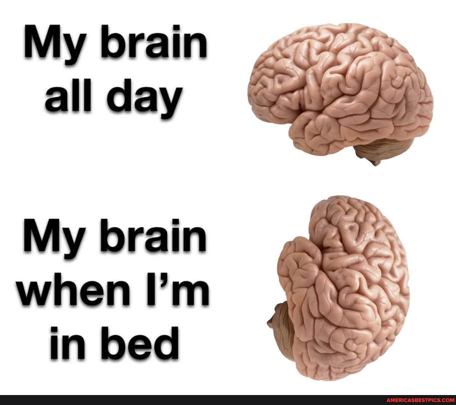 I m my brains. No Brain no hurt. My Brain all Day.