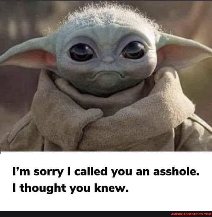 I'm sorry called you an asshole.
thought you knew.