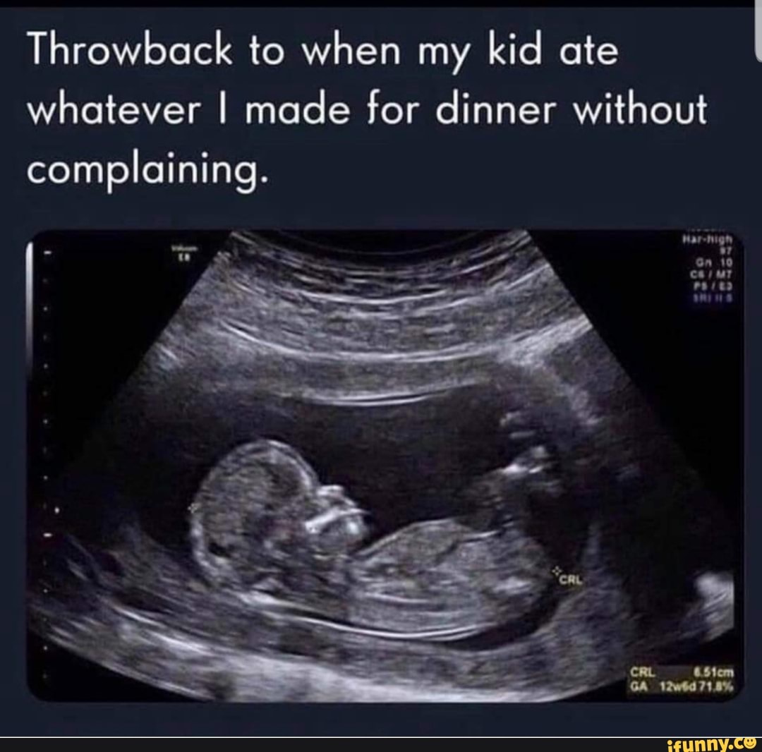 Throwback to when my kid ate whatever I made for dinner without ...