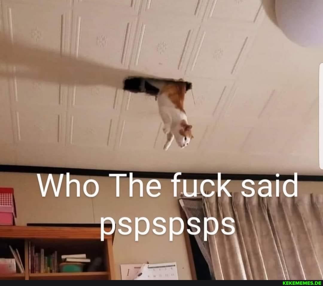 Who The fuck said
PSPSPSPs