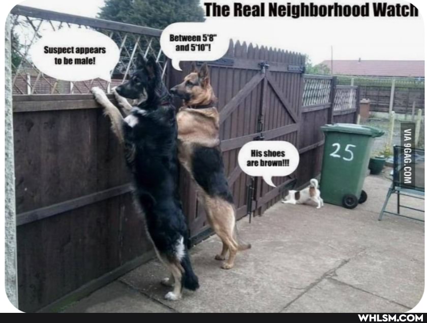 The Real Neighborhood Watch