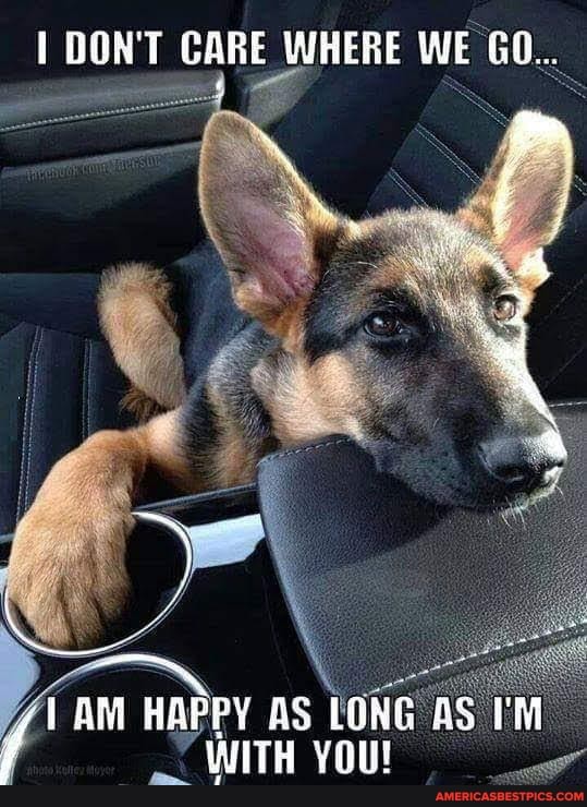 DON'T CARE WHERE WE GO...
AM HAPPY AS LONG AS IN WITH YOU!