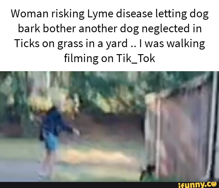 Lyme Memes Best Collection Of Funny Lyme Pictures On Ifunny