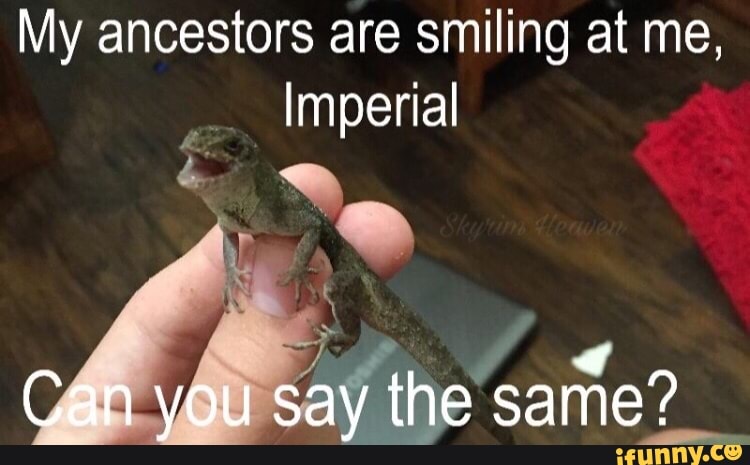 skyrim my ancestors are smiling at me