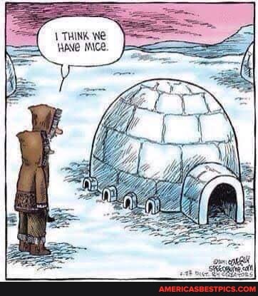 THINK We
WANE IICe.