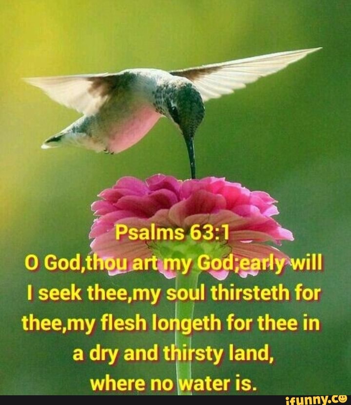 Psalms _ 0 God, thguart my I seek thee, my soull thirsteth for thee, my ...