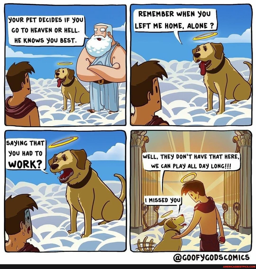 REMEMBER WHEN You
YOUR GO PET TO DECIDES HEAVEN OR IF you HELL. LEFT LEFT ME ME HOM HOME, ALONE ?
GO TO HEAVEN OR HELL. I LEFT ME HOM HE KNOWS \ YOU BEST.
LL, THEY HAVE THAT HERE,
SAYING THAT
you HAD TO