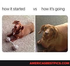 howitstarted vs _howit's going