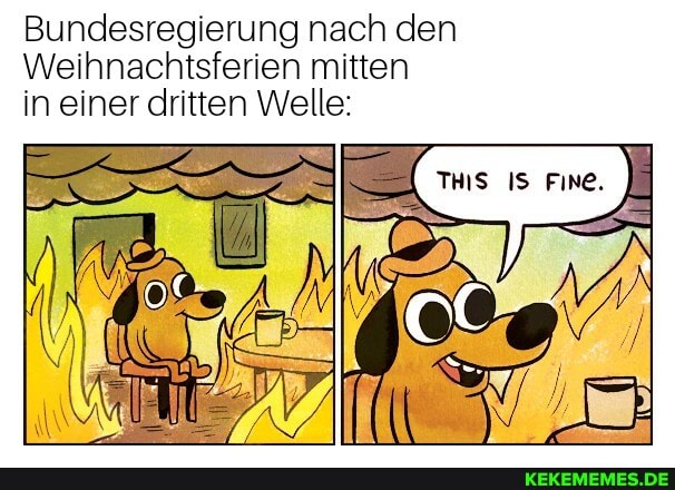 Bundesregierung nach den
Weihnachtsferien mitten in einer dritten Welle: