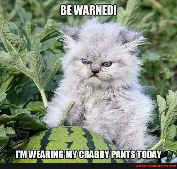 BE WARNED!
WEARING MY CRABBY PANTS TOBAY