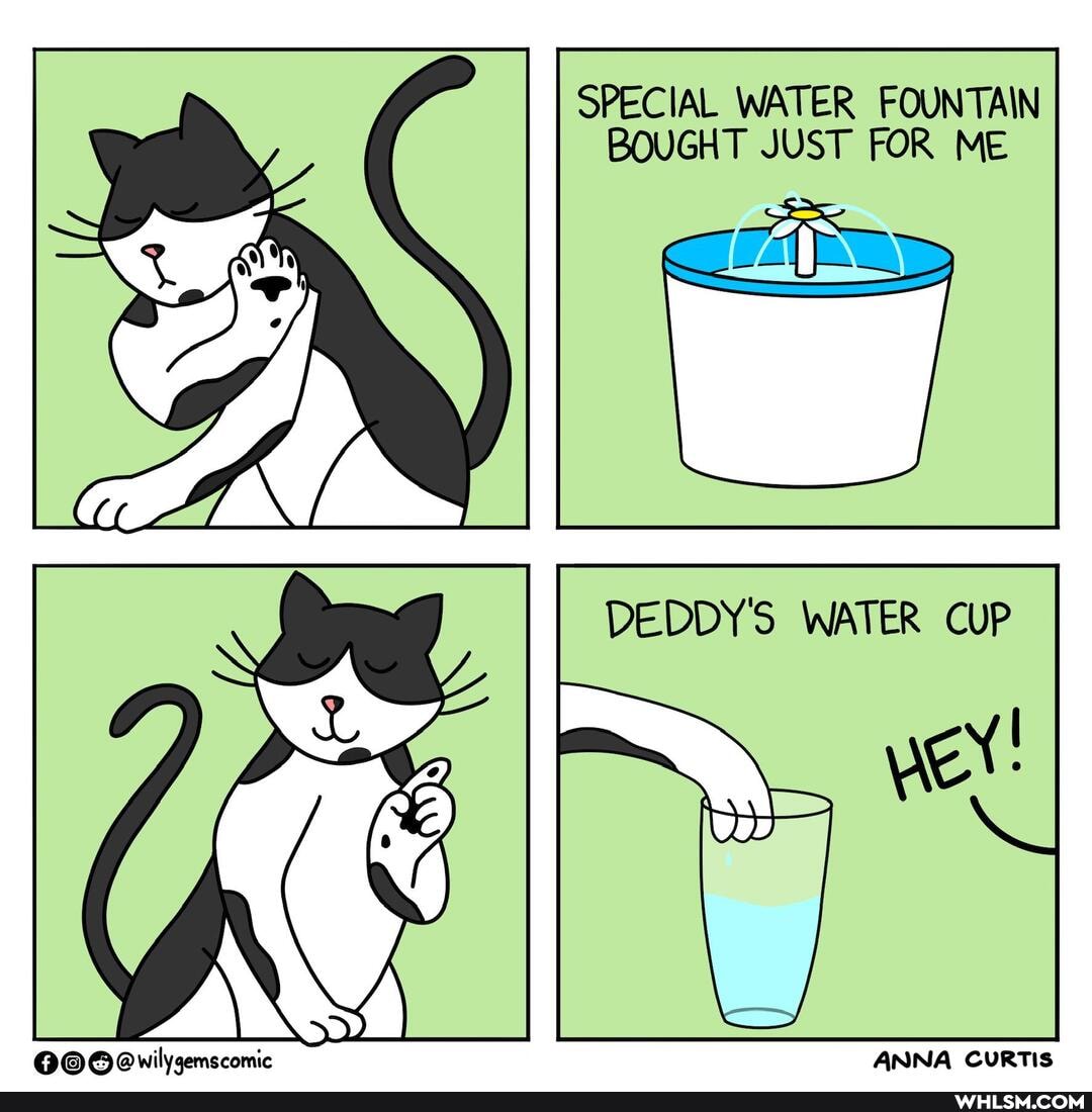 SPECIAL WATER FOUNTAIN BOUGHT JUST FOR ME
DEDDY'S WATER CUP
ANNA CURTIS