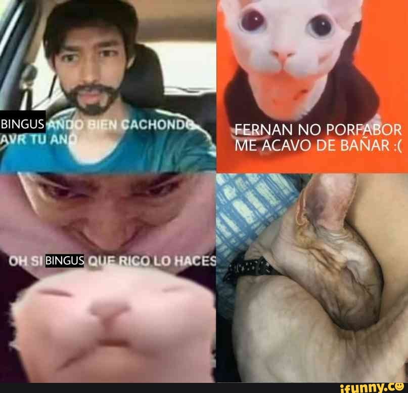 _badbunny_ memes. Best Collection of funny _badbunny_ pictures on iFunny  Brazil