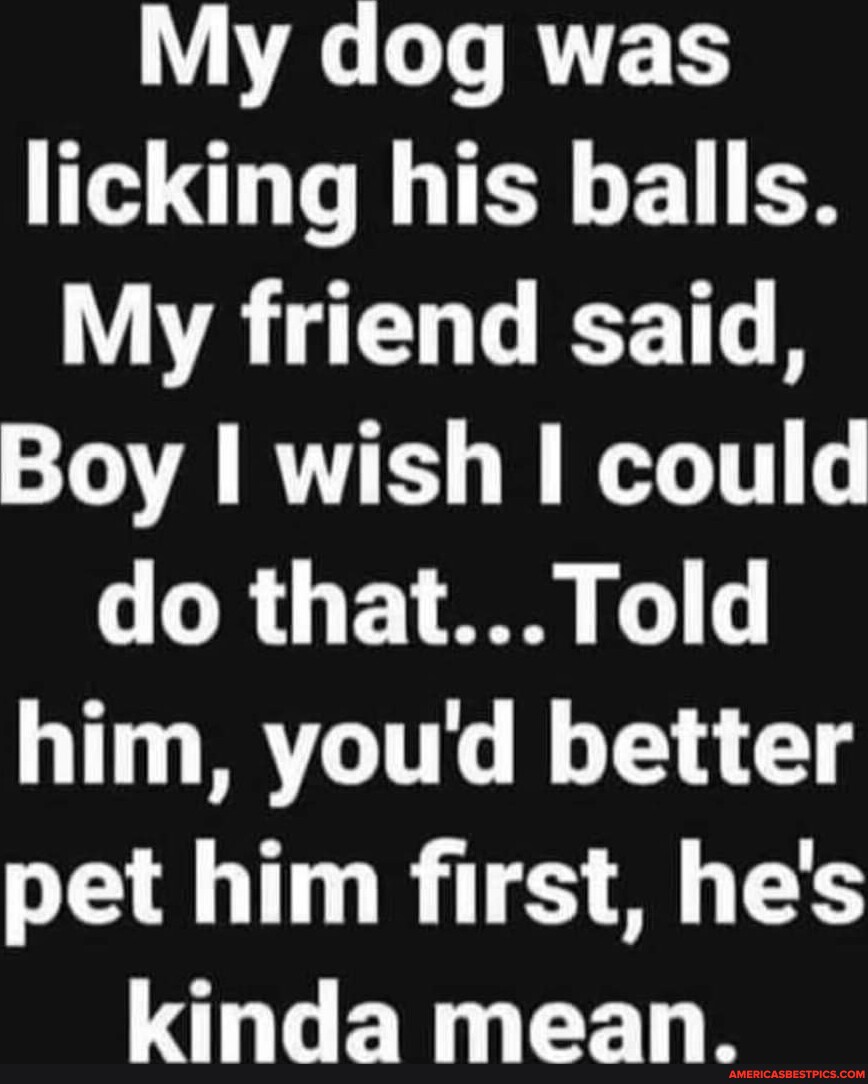 My dog was licking his balls. My friend said, Boy I wish I could do