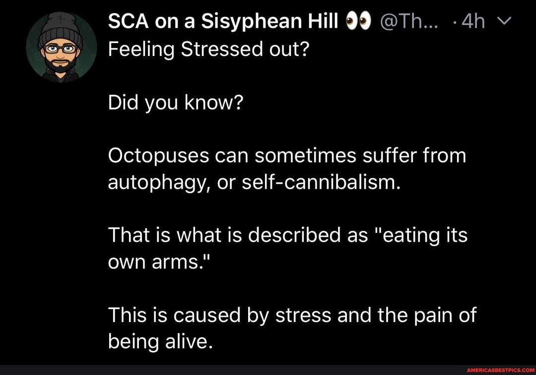 af)
SCA on a Sisyphean Hill 99 @Th... v
Feeling Stressed out?
Did you know?
Octopuses can sometimes suffer from autophagy, or self-cannibalism.
That is what is described as "eating its own arms."
This is caused by stress and the pain of being alive.