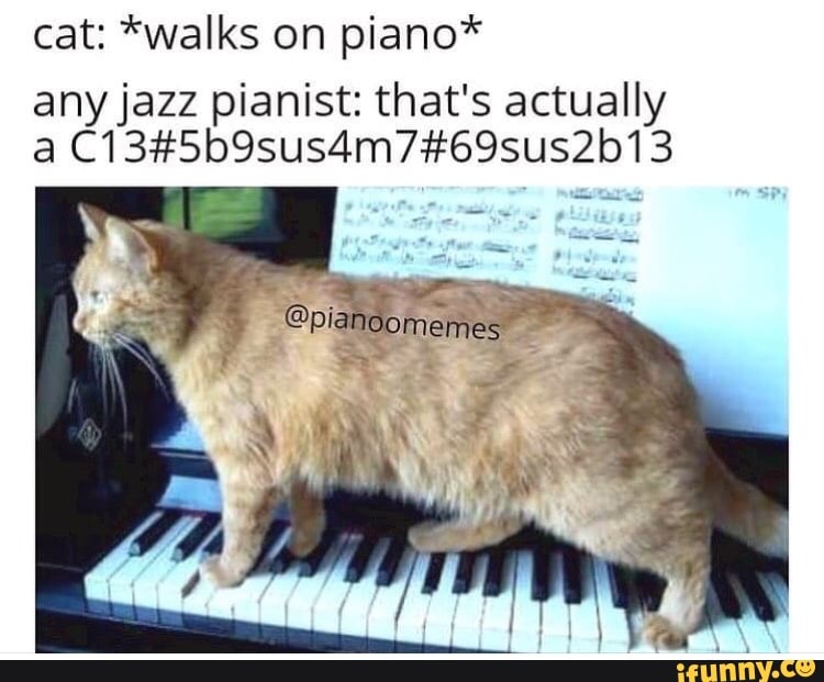 Cat *walks on piano* anyjazz pianist that's actually a C135b9sus4m7