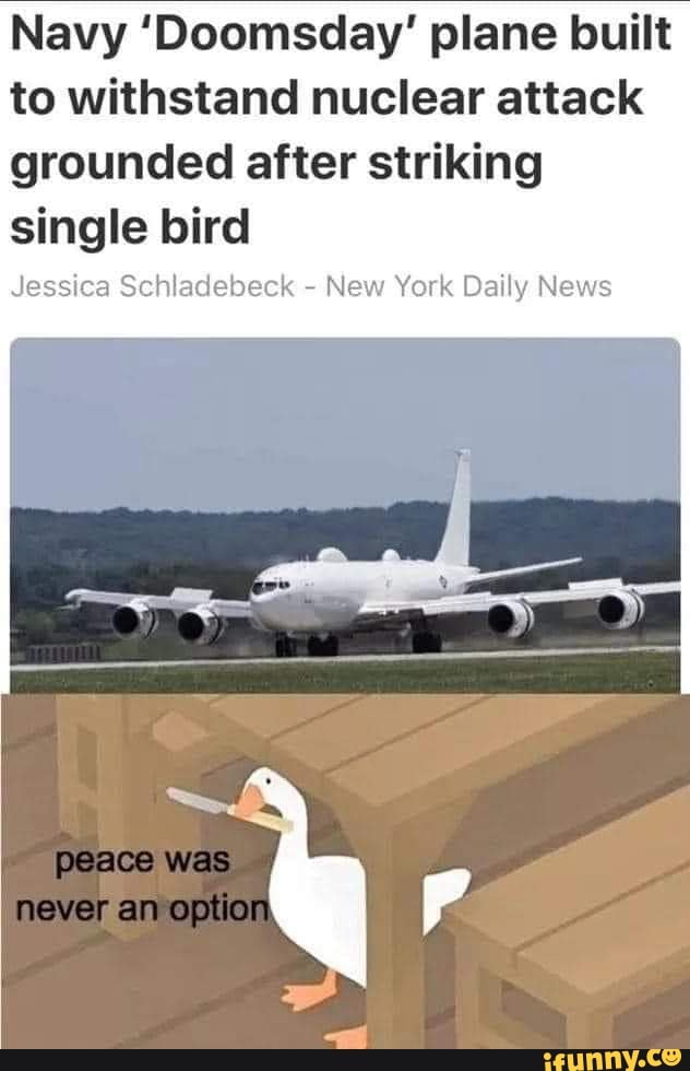 Navy 'Doomsday' plane built
to withstand nuclear attack
grounded after striking
single bird
Jessica Schladebeck
New York Daily News