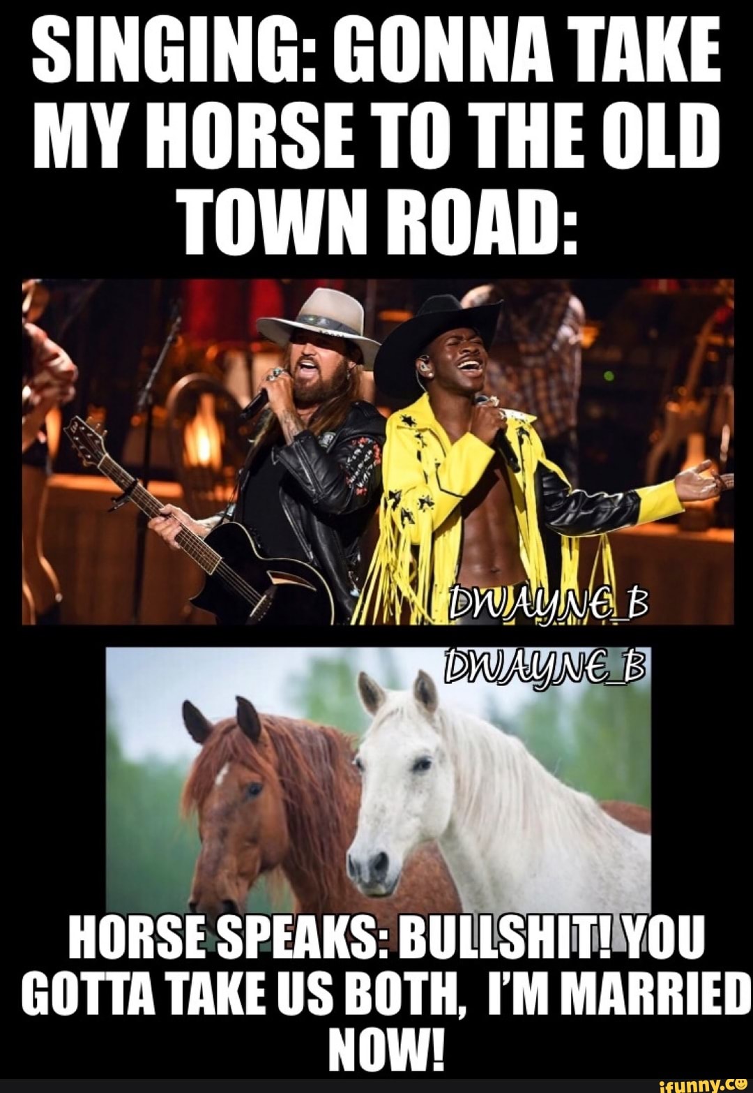 SINGING GONNA TAKE MY HORSE TO THE OLD TOWN ROAD WAYNE HORSE SPEAKS