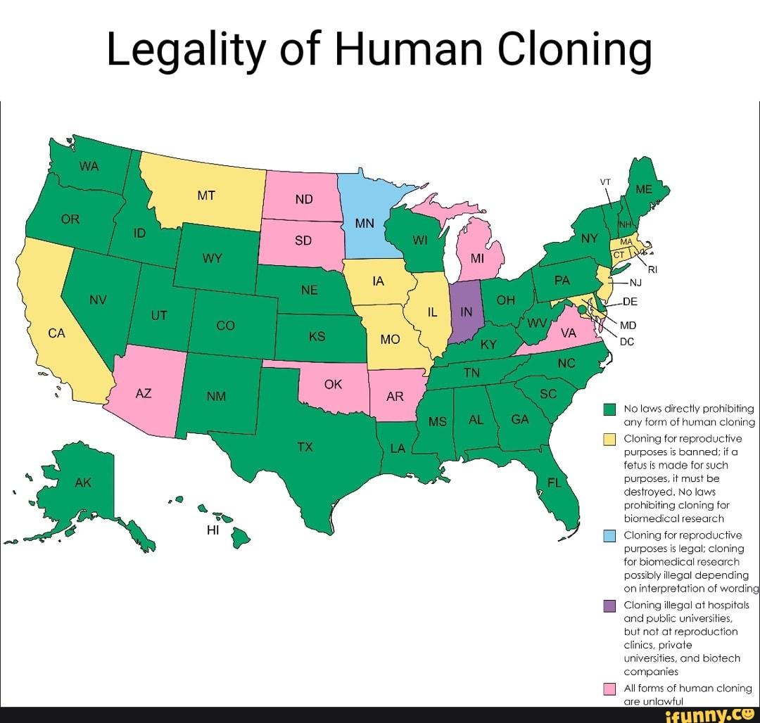 Legality Of Human Cloning No Lows Directly Prohibiting Any Form Of