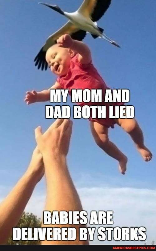 MY MOM AND DAD BOTH LIED
BABIES ARE DELIVERED BY STORKS