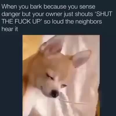 how to tell a dog to shut up