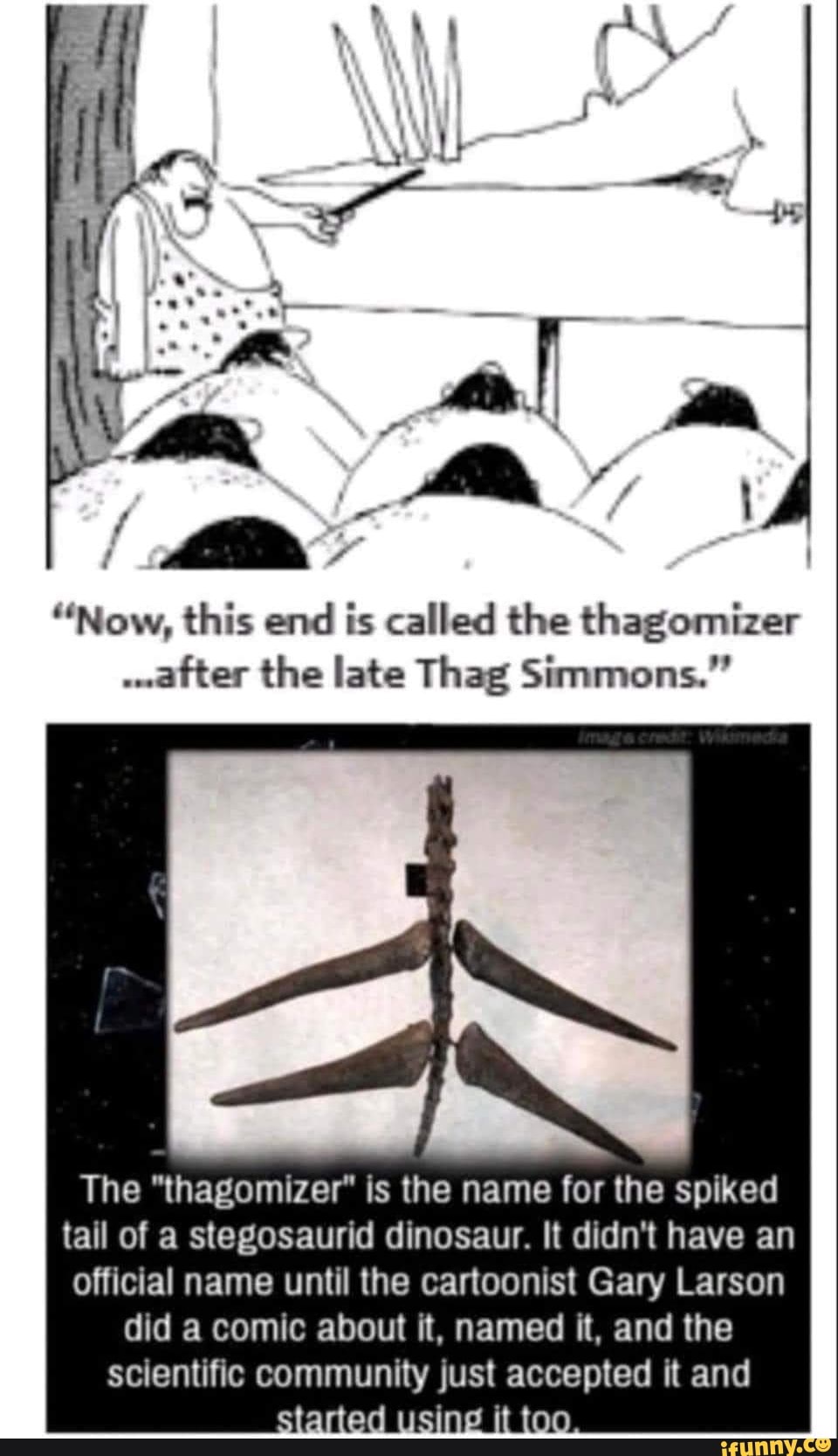 now-this-end-is-called-the-thagomizer-after-the-late-thag-simmons