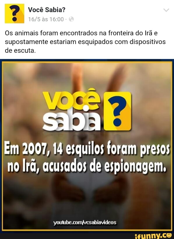 Os animais foram encontrados na fronteira do Ira e
supostamente estariam esquipados com dispositivos
de escuta.
Em 2007, 14 esquilos foram presos
no Ira, acusados de espionagem.