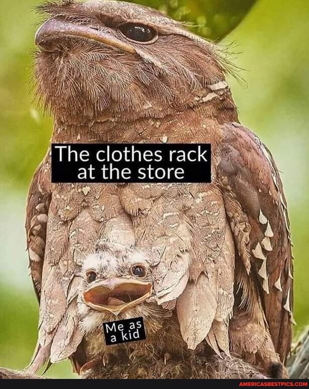 The clothes rack at the store